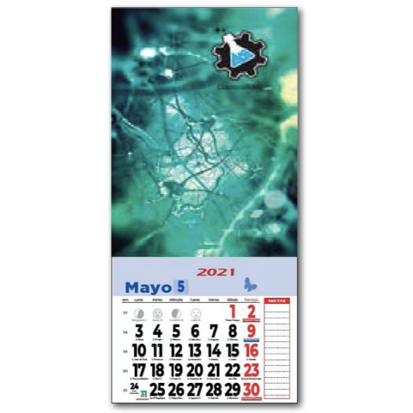Calendarios nevera personalizados de 10x27 cm