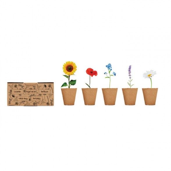 Kit cultivo de flores con caja semillas