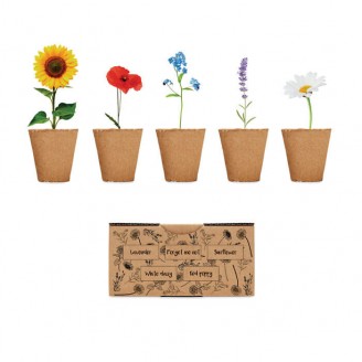 kit cultivo de flores con cajas de semillas para merchandising ecológico